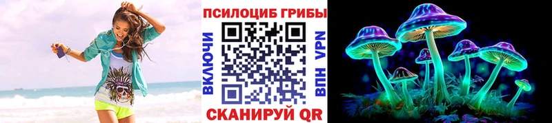 shop официальный сайт  магазин  наркотиков  Сосновый Бор  Галлюциногенные грибы Cubensis 